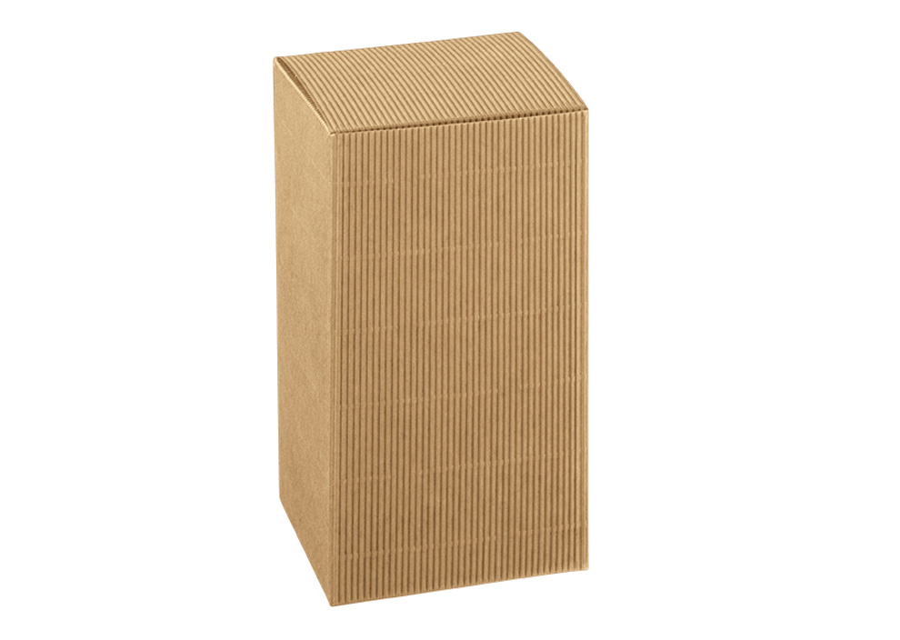 CAJA 10/10 CARTON VERDE BEIGE